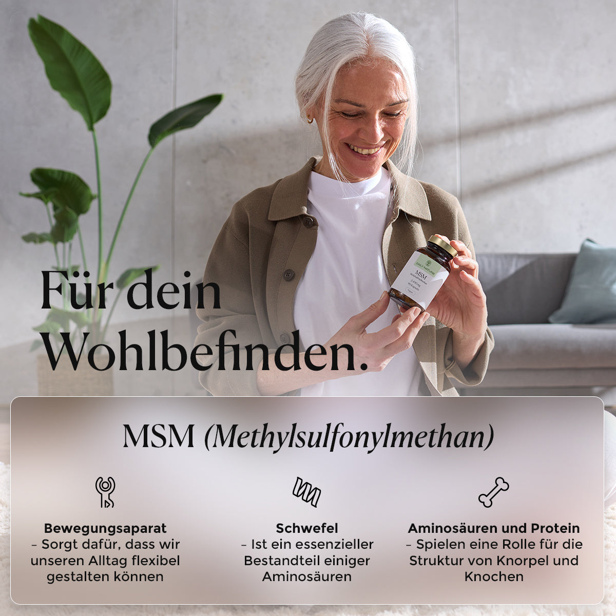 DAILY NATURE MSM Kapseln