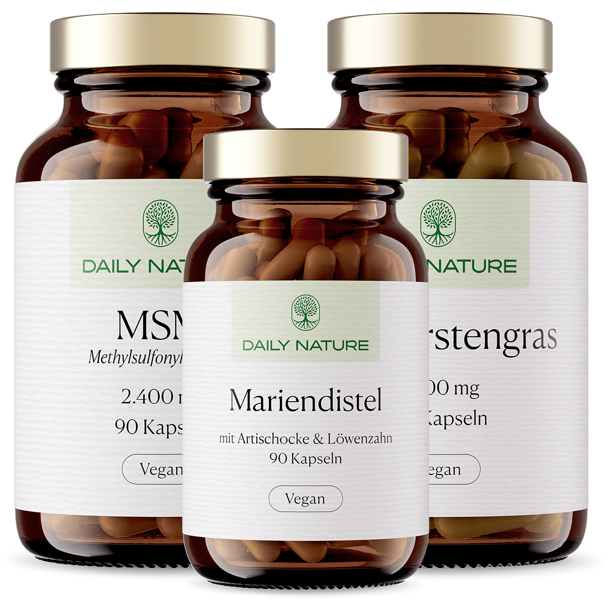 Premium Ritual No.2 The Systematic Reset