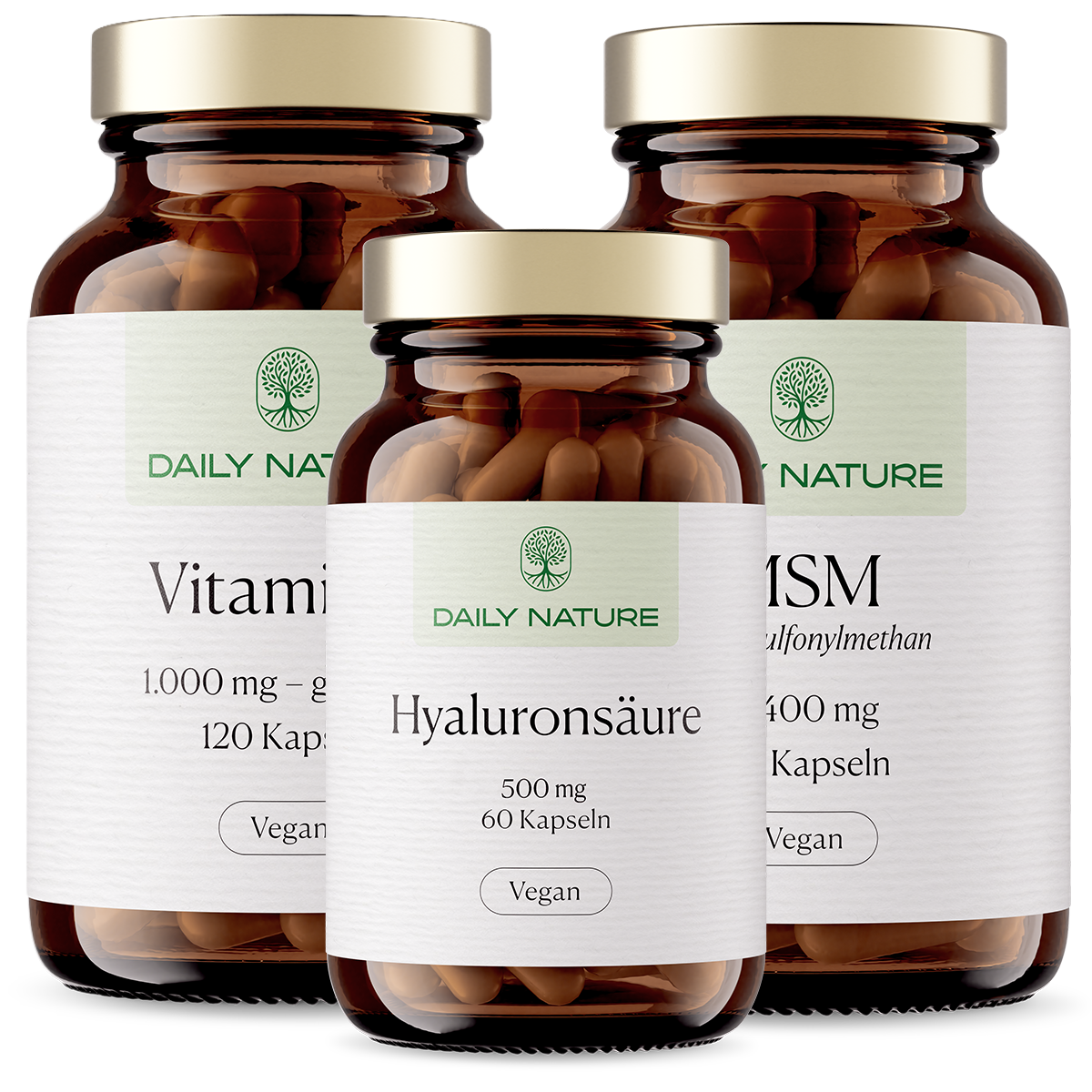 Premium Ritual No.6 Structural Integrity