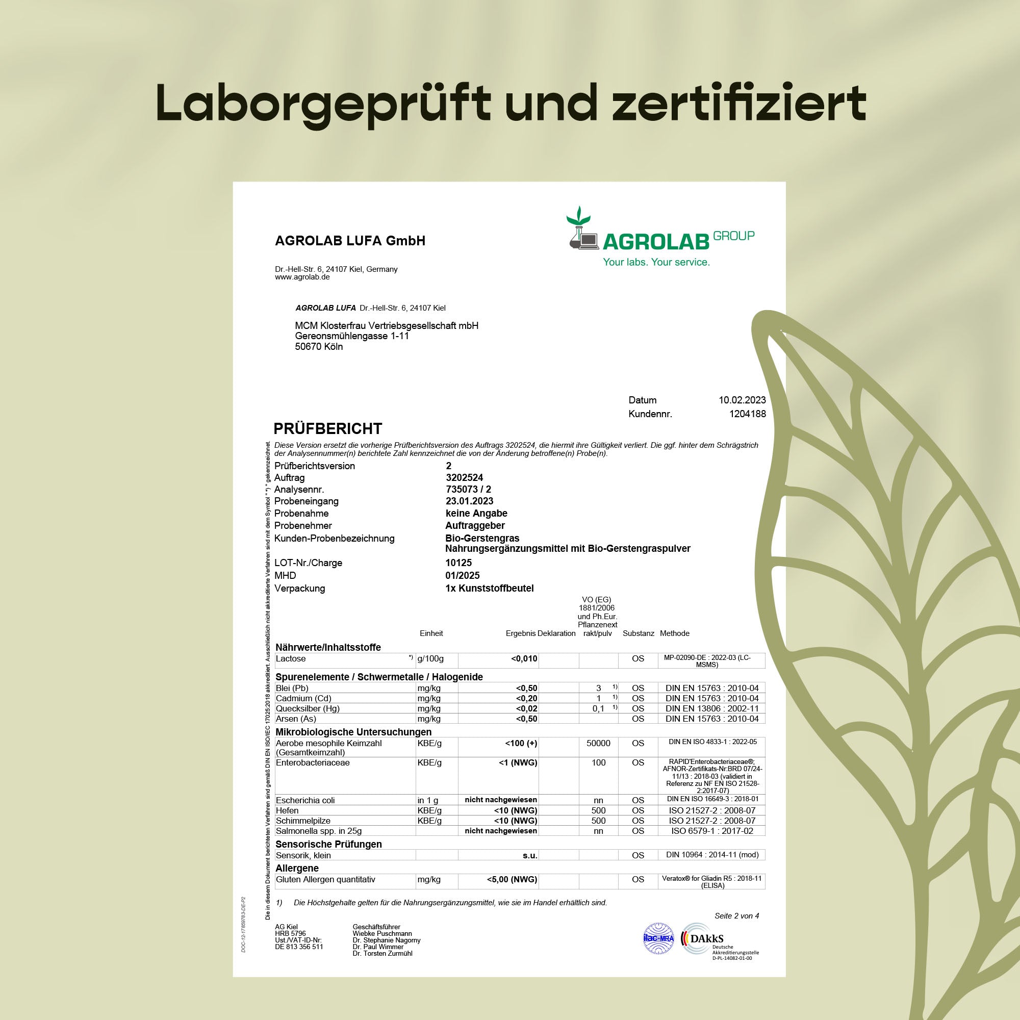 Dailynature Produktabbildung Gerstengras 7