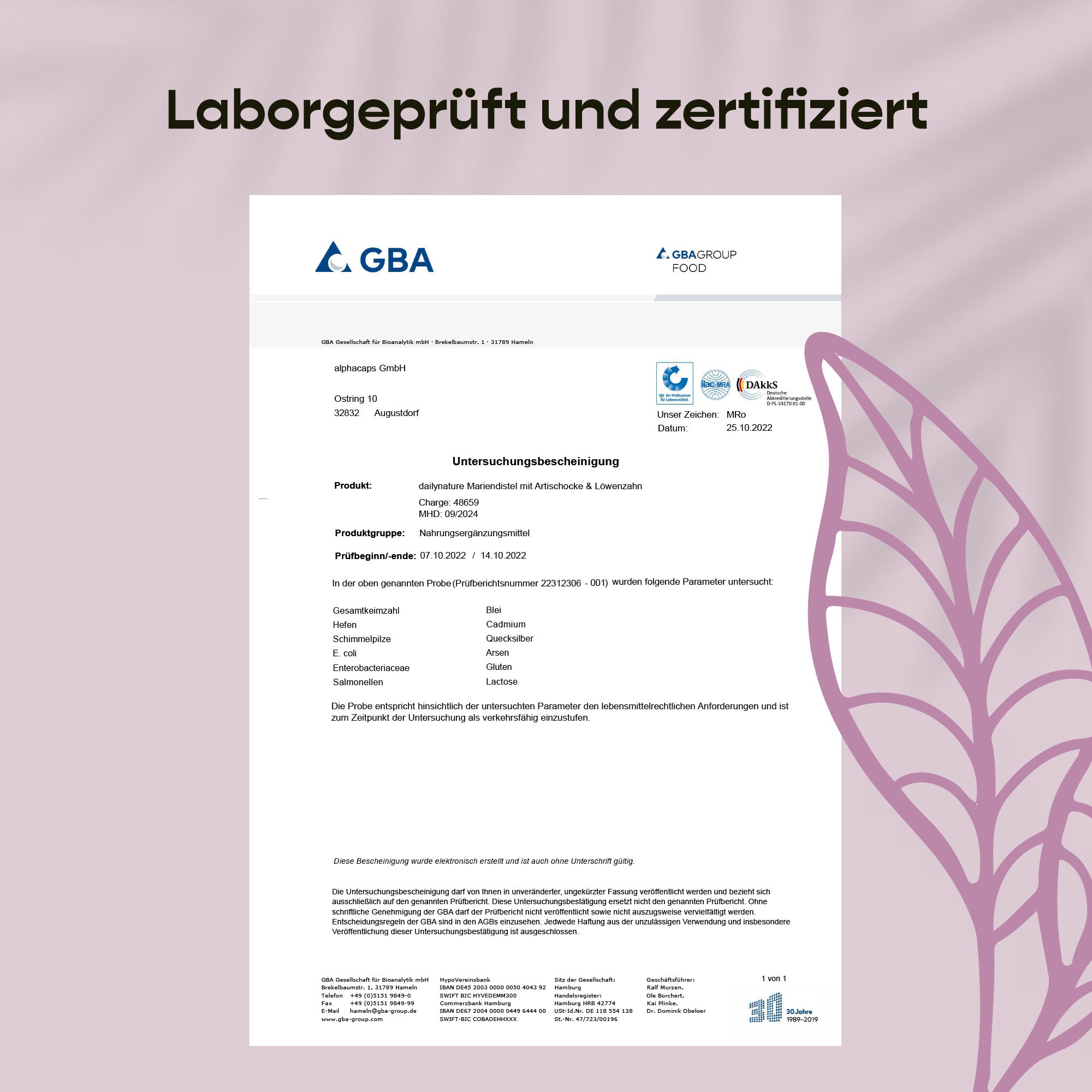 Dailynature Produktabbildung Mariendistel 7