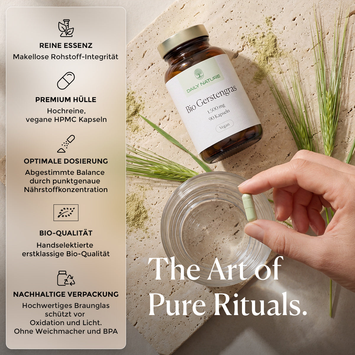 DAILY NATURE Bio Gerstengras Kapseln