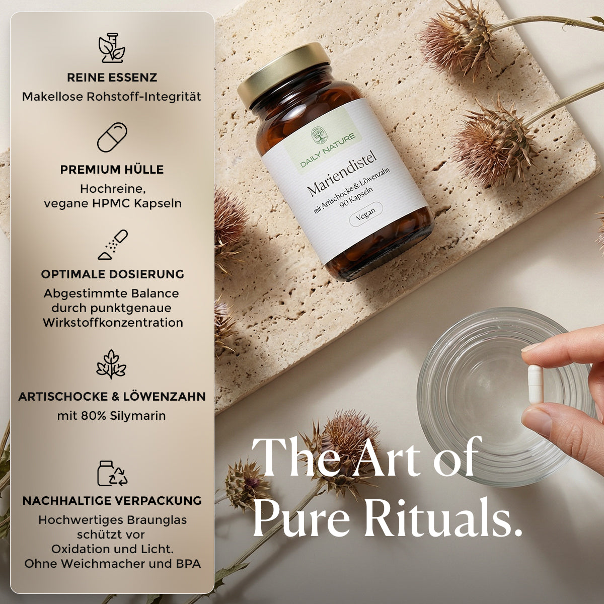 DAILY NATURE Mariendistel