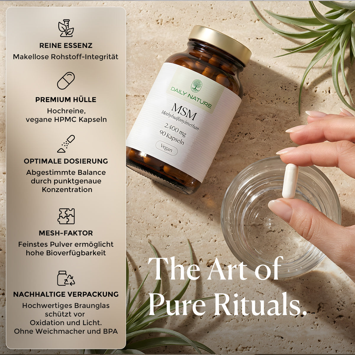 DAILY NATURE MSM Kapseln