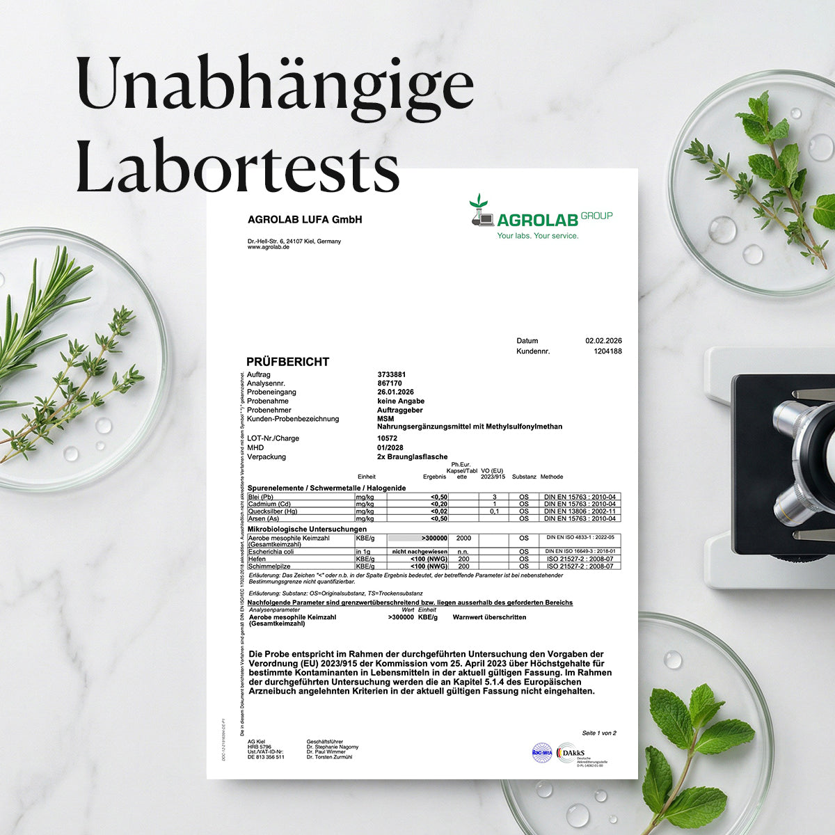 DAILY NATURE MSM Kapseln