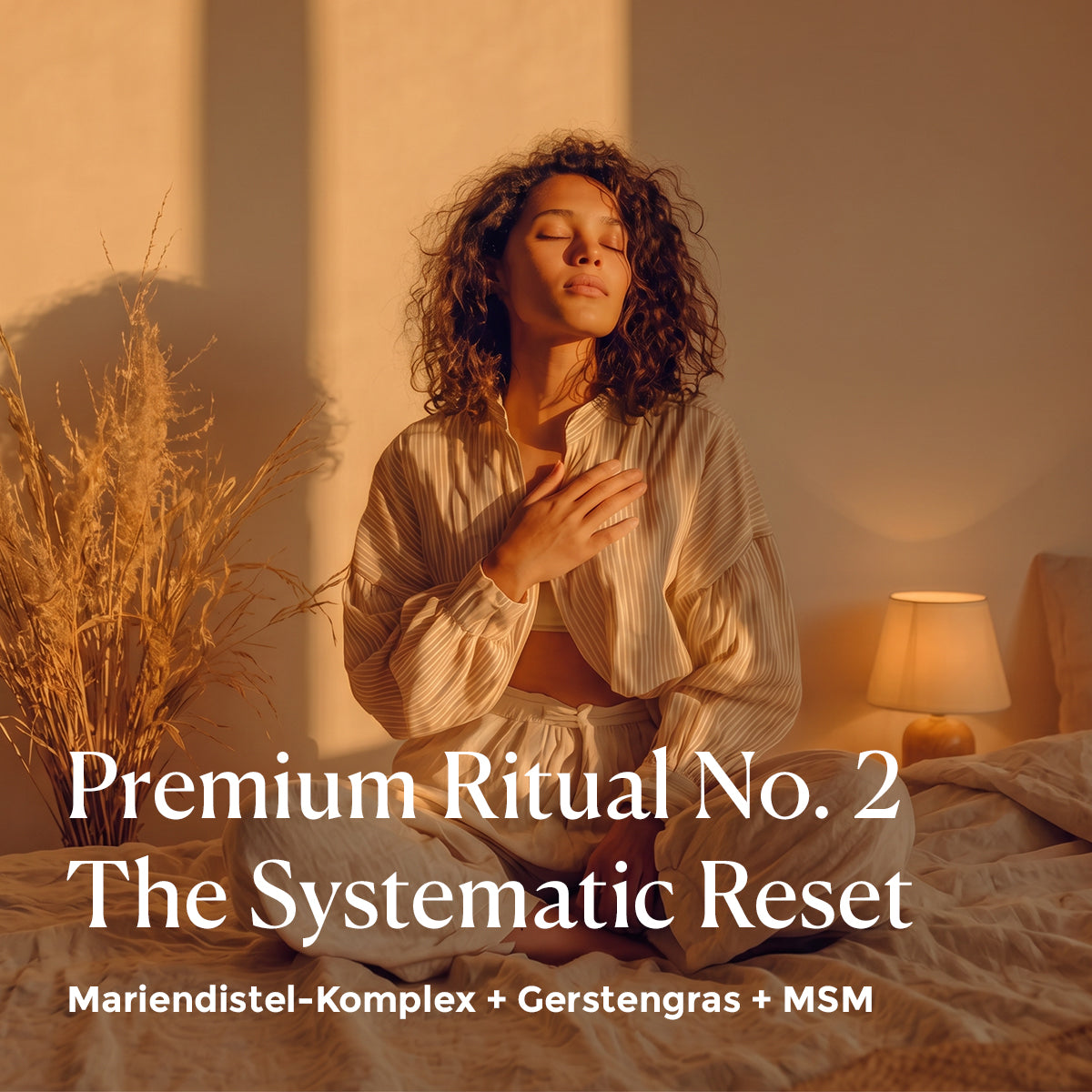 Premium Ritual No.2 The Systematic Reset