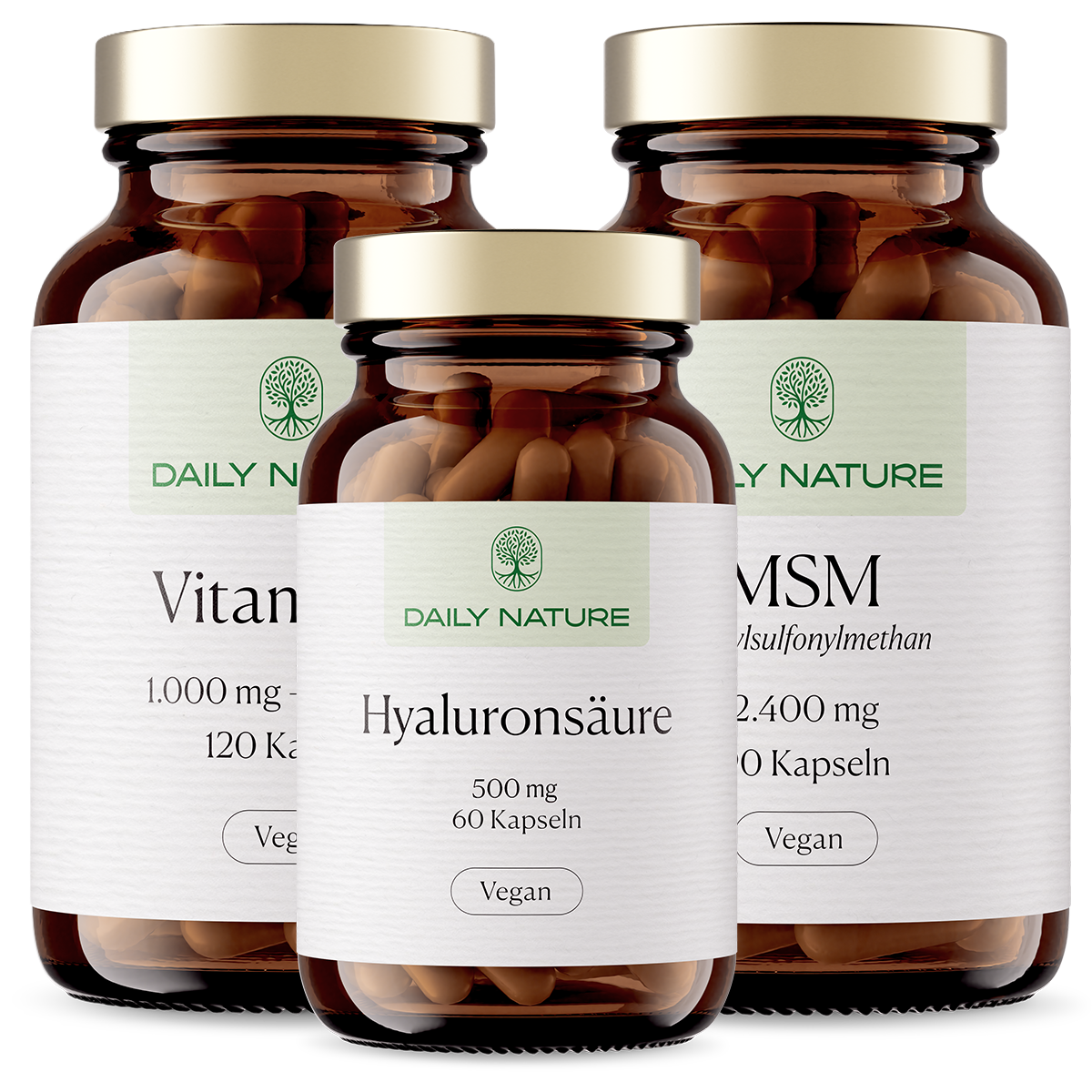 Premium Ritual No.3 The Aesthetic Architect